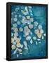 Essential Black