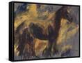 Canvas Black