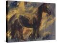Stretched Canvas