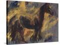 Stretched Canvas