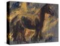 Stretched Canvas