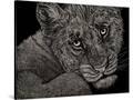 Stretched Canvas