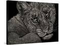 Stretched Canvas