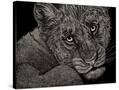 Stretched Canvas