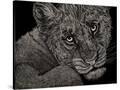 Stretched Canvas