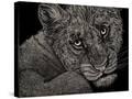 Stretched Canvas