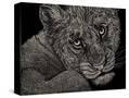 Stretched Canvas