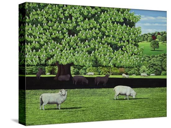 Stretched Canvas Print, , large