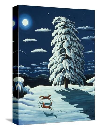 Stretched Canvas Print, , large