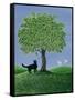 Canvas Black