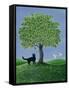 Canvas Black