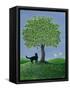 Canvas Black