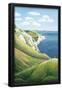 Essential Black