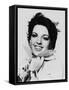 Liza Minnelli-null-Framed Stretched Canvas