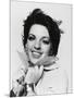 Wood Mount
