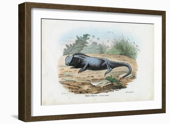 Lizard, 1863-79-Raimundo Petraroja-Framed Giclee Print