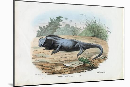 Lizard, 1863-79-Raimundo Petraroja-Mounted Giclee Print