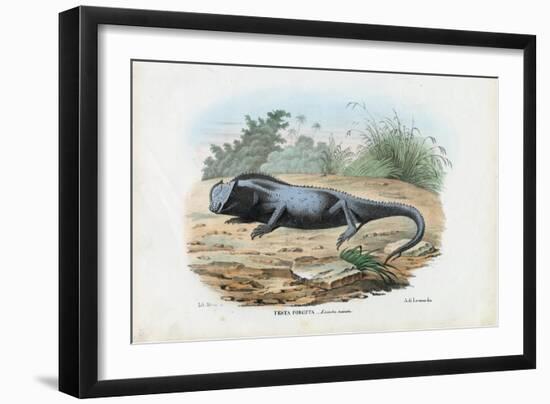 Lizard, 1863-79-Raimundo Petraroja-Framed Premium Giclee Print
