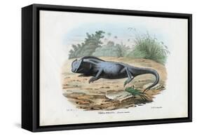 Lizard, 1863-79-Raimundo Petraroja-Framed Stretched Canvas