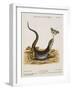 Lizard Chasing a Butterfly-Johann Michael Seligman-Framed Giclee Print