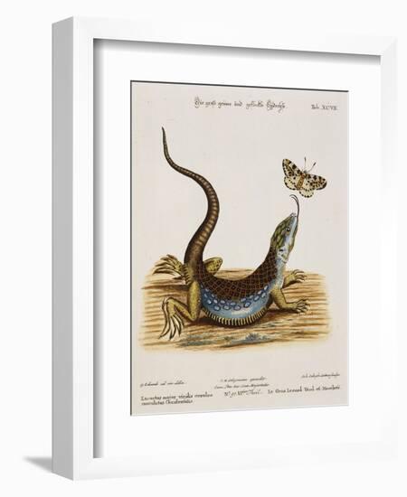 Lizard Chasing a Butterfly-Johann Michael Seligman-Framed Giclee Print