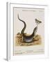 Lizard Chasing a Butterfly-Johann Michael Seligman-Framed Giclee Print