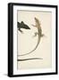 Lizard Diptych II-Vision Studio-Framed Art Print