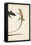 Lizard Diptych II-Vision Studio-Framed Stretched Canvas