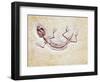 Lizard Fossil from Solnhofen Limestone Formation-Naturfoto Honal-Framed Photographic Print