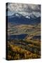 Lizard Head and Yellow Aspens in the Fall-James Hager-Stretched Canvas