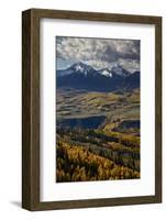 Lizard Head and Yellow Aspens in the Fall-James Hager-Framed Photographic Print