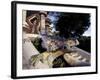 Lizard Mosaic in Parc Guell, Barcelona, Spain-Michele Molinari-Framed Photographic Print