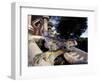 Lizard Mosaic in Parc Guell, Barcelona, Spain-Michele Molinari-Framed Photographic Print