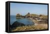 Lizard Peninsula, View of Kynance Cove-Guido Cozzi-Framed Stretched Canvas