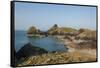 Lizard Peninsula, View of Kynance Cove-Guido Cozzi-Framed Stretched Canvas