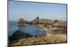 Lizard Peninsula, View of Kynance Cove-Guido Cozzi-Mounted Premium Photographic Print