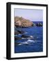 Lizard Point, Cornwall, England, United Kingdom-Roy Rainford-Framed Photographic Print