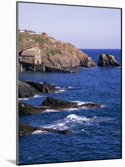 Lizard Point, Cornwall, England, United Kingdom-Roy Rainford-Mounted Photographic Print