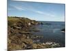Lizard Point Lighthouse and Lifeboat House, Most Southern Point on Mainland Britain, England-Ian Egner-Mounted Photographic Print