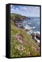 Lizard Point with Thrift in Foreground-null-Framed Stretched Canvas