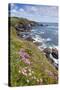 Lizard Point with Thrift in Foreground-null-Stretched Canvas