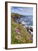 Lizard Point with Thrift in Foreground-null-Framed Photographic Print