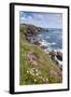 Lizard Point with Thrift in Foreground-null-Framed Photographic Print