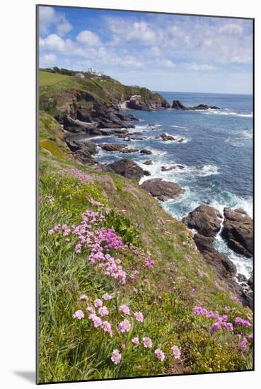 Lizard Point with Thrift in Foreground-null-Mounted Photographic Print