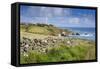Lizard Point-null-Framed Stretched Canvas