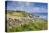 Lizard Point-null-Stretched Canvas