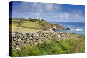 Lizard Point-null-Stretched Canvas