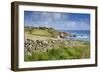 Lizard Point-null-Framed Photographic Print