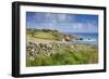 Lizard Point-null-Framed Photographic Print