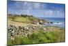 Lizard Point-null-Mounted Photographic Print